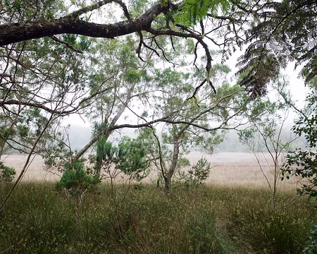 2016_10_26_09-52-04 Grande Mare