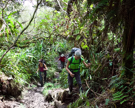 2016_10_26_11-56-53 Montée boueuse sur le GR R1