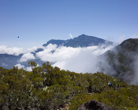 2016_10_27_12-02-33 Piton des Neiges