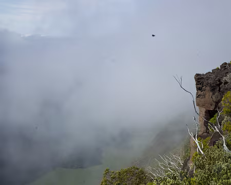 2016_10_28_08-59-44 Point de vue près de Nez de Boeuf sur la Rivière des Remparts