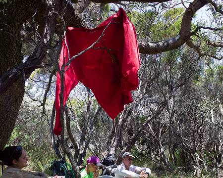 2016_10_28_12-24-20 Pique-nique à l'ombre