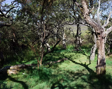 2016_10_28_15-25-14 Oasis avant le désert