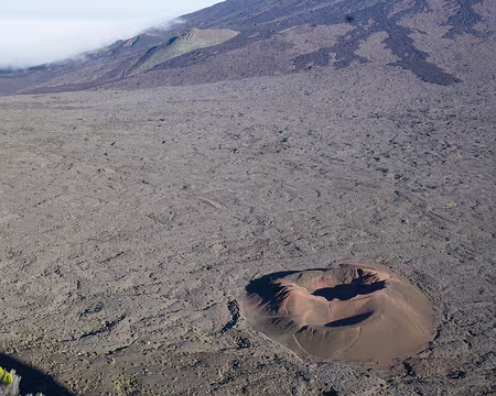 2016_10_28_17-11-04 Formica Leo