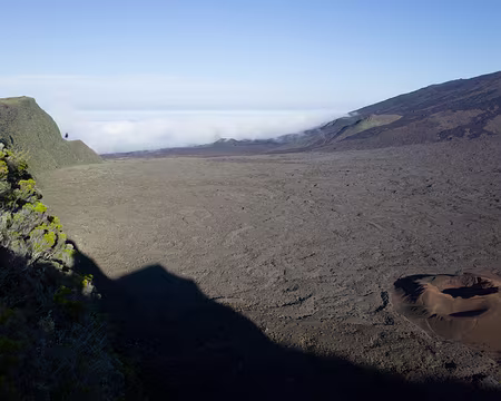 2016_10_28_17-12-18 L'ombre gagne Formica Leo