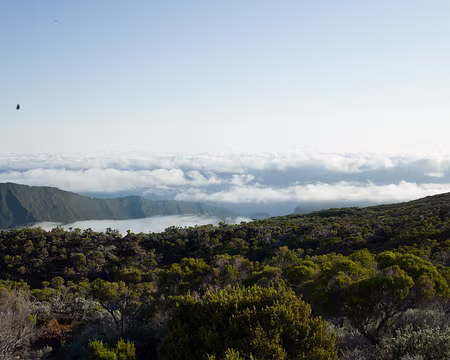 2016_10_29_06-42-31 J15 - Rempart de la rivière de l'Est