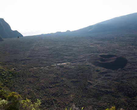 2016_10_29_06-53-23 Enclos Fouqué et Formica Leo le matin