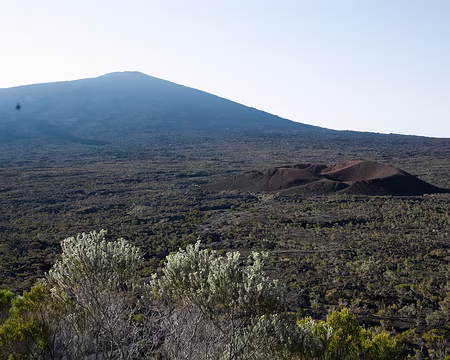 2016_10_29_06-59-40 Fournaise et Formica Leo