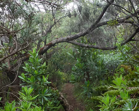 2016_10_29_14-01-51 Changement de végétation