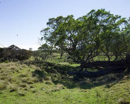 2016_10_30_08-28-52 Savane