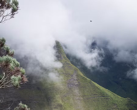 2016_10_30_10-00-13 Depuis le sentier des Citernes