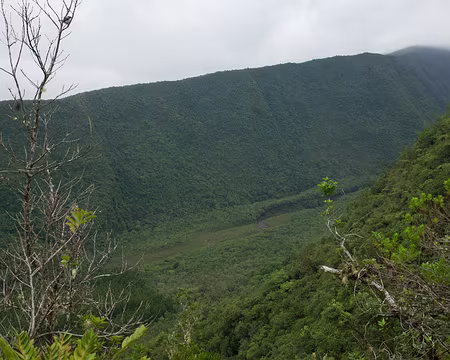 2016_10_31_16-41-14 Vallée Heureuse