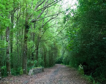 2016_10_31_17-20-27 Allée forestière