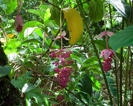 2016_11_01_10-36-15 Au Jardin des Senteurs et des Épices