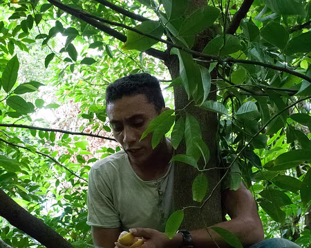 2016_11_01_11-20-58 Notre guide ouvre une noix de muscade