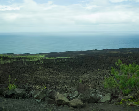 2016_11_02_12-39-52 Coulée de lave de 2007 vue du bus, début de végétalisation1