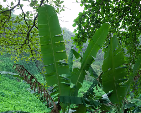 2016_11_02_13-27-03 À l'anse des Cascades