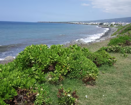 DSCF8697 14/10/2016 Saint Denis