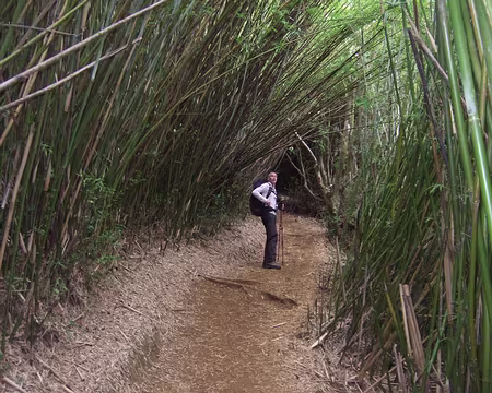 DSCF8707 15/10 De St Denis au gite de la Roche Ecrite. Début du sentier GR R2 vers Le Brulé.