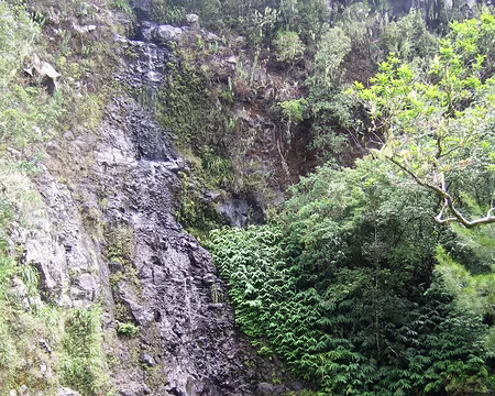 DSCF8711 Cascade Maniquet