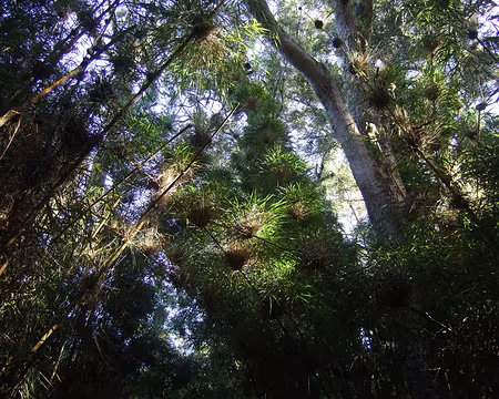 DSCF8715 Pres du gite de la Roche Ecrite