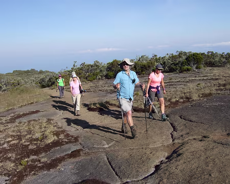 DSCF8717 16/10 En route pour le sommet de la Roche Ecrite