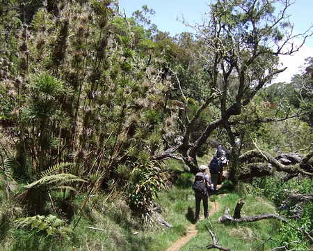 DSCF8728 En route pour Dos D'Ane et l'excellent gite Les Acacias.