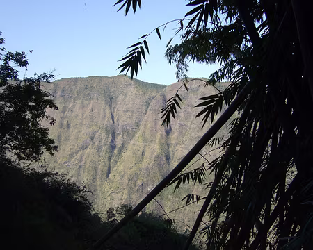 DSCF8737 17/10 Descente vers la rivière des Galets
