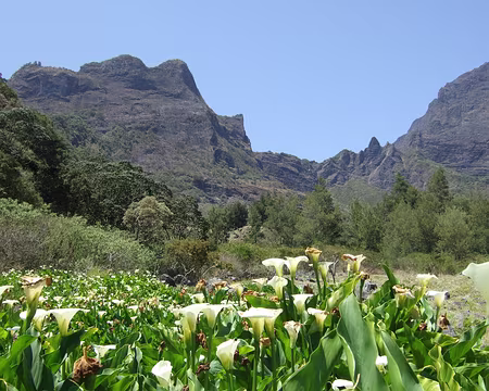 DSCF8829 Col du Taïbit