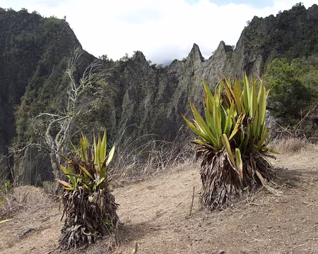 DSCF8852 sur le GR R3 en dessous des 3 Roches