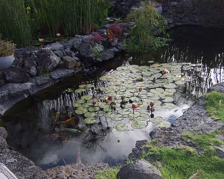 DSCF8865 Gite la miellerie à Marla. Pas de miel mais très joli gite, superbe jardin, excellent accueil et repas. Pour moi le meilleur gite du séjour.