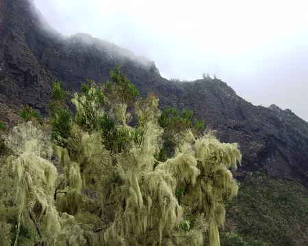 DSCF8881 En descendant du Taïbit pour aller à Cilaos.