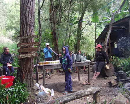 DSCF8882 Au choix tisane montante ou descendante.