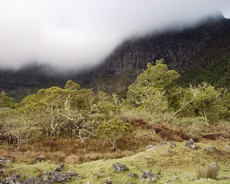 DSCF8929 Entre Marla et Maison Laclos