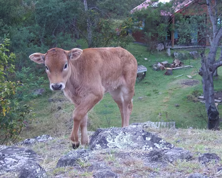 DSCF8950 24/10 C'est l'heure du biberon.