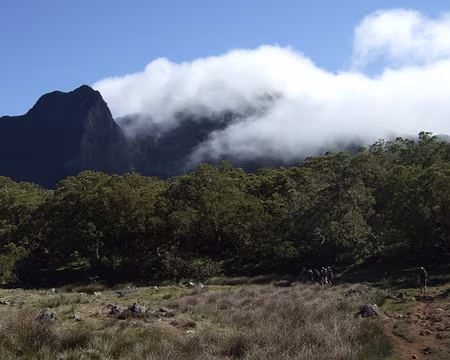 DSCF8953 Plaine des Tamarins