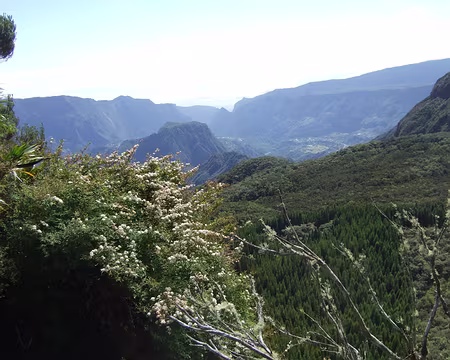 DSCF8958 Descente dans le cirque de Salazie