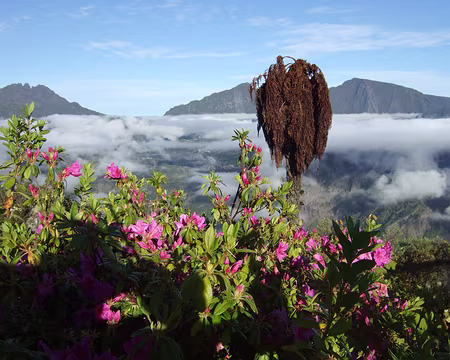 DSCF8985 Vue depuis le gite de Bélouve.