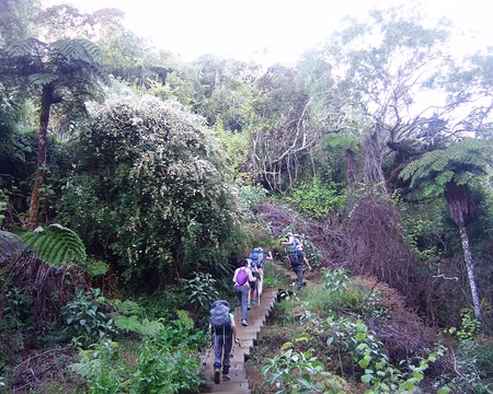 DSCF8990 26/10 Forêt de Bélouve.