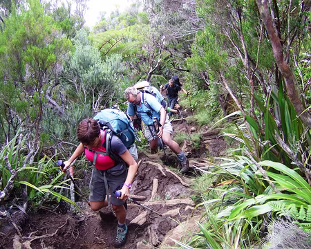 DSCF9028 GR R1 pour la caverne Dufour : début du sentier boueux