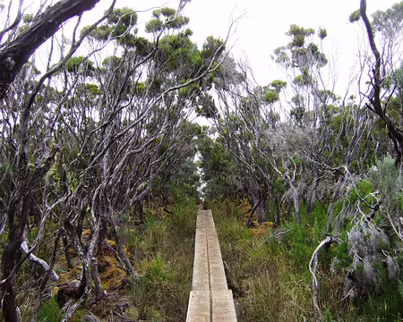 DSCF9033 planches bienvenues