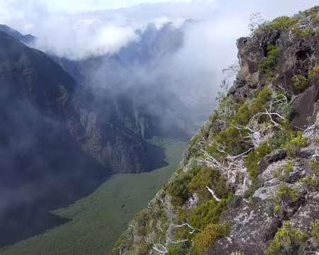 DSCF9107 Rivière des Remparts