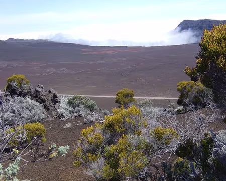 DSCF9121 Plaine des Sables