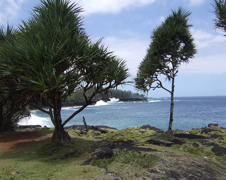 DSCF9265 Pic nic à Mare Longue