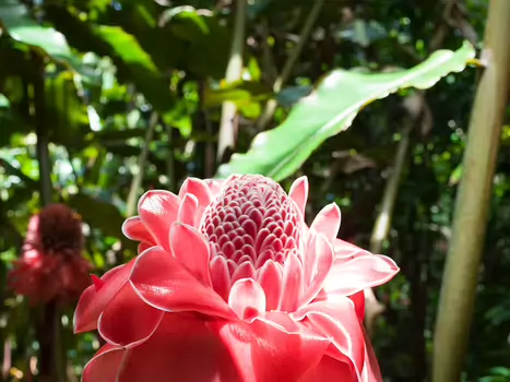 2016-10 Île de la Réunion