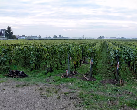 Randonnée Bourguinone-Oxtobez 2016 001