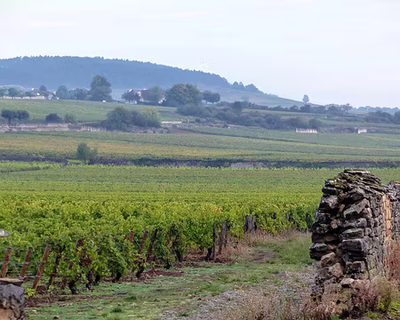 Randonnée Bourguinone-Oxtobez 2016 023