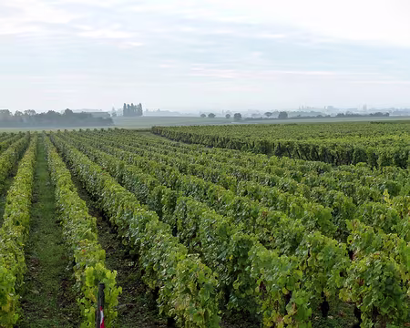 Randonnée Bourguinone-Oxtobez 2016 028