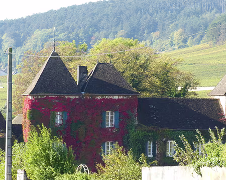 Randonnée Bourguinone-Oxtobez 2016 065