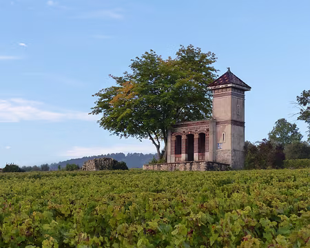 Randonnée Bourguinone-Oxtobez 2016 100