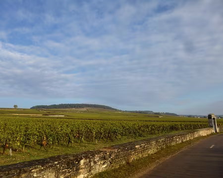 P1020660 Le Clos des Santenots, 1er cru, Volnay